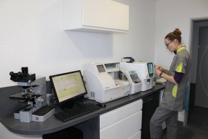 Laboratoire d'analyses médicales : Sabine réalisant une analyse de sang